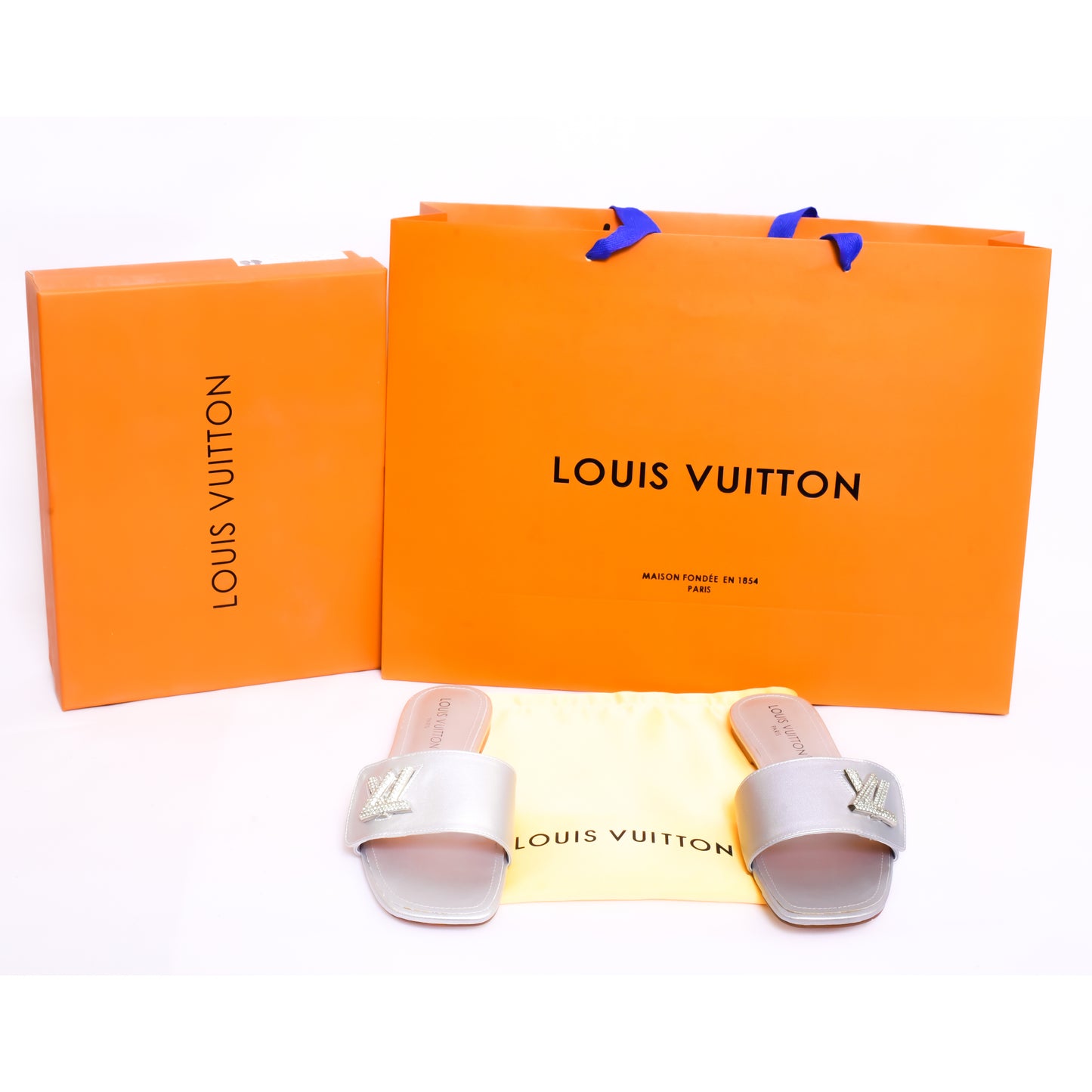 Louis Vuitton Silver Slides