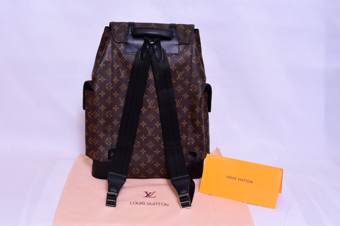 LV Brown Backpack Bag